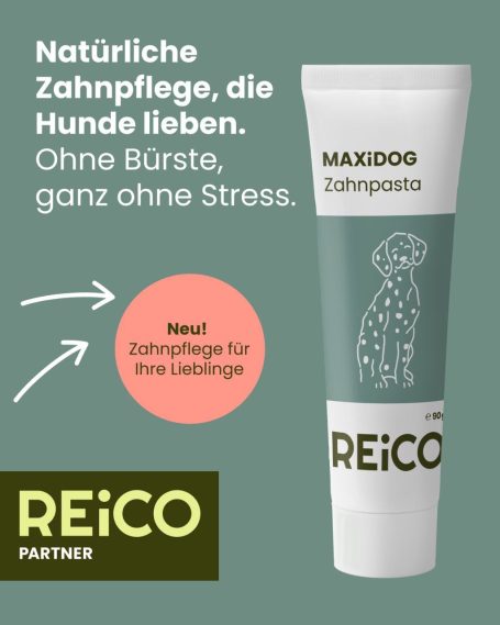 Zahnpasta Hunde