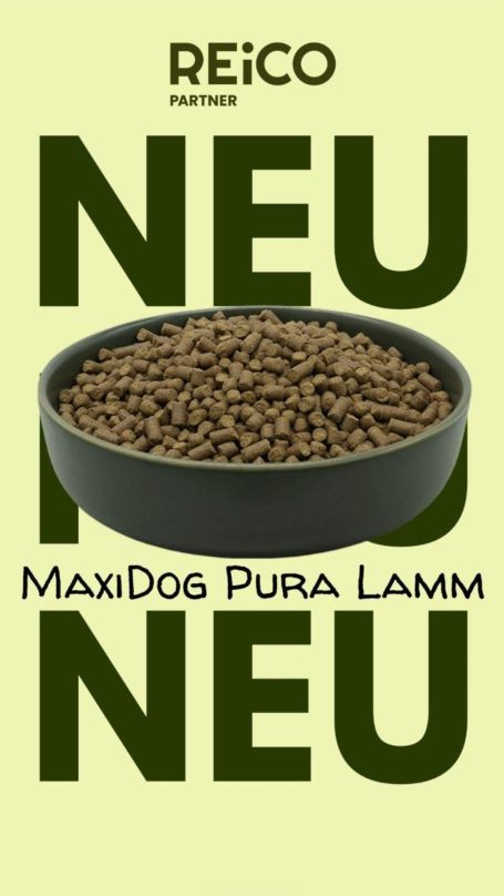 Reico- Maxi Dog Pura Lamm