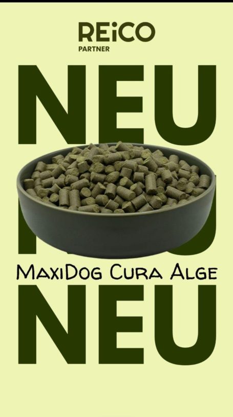 Reico - Maxi Cura Dog Alge